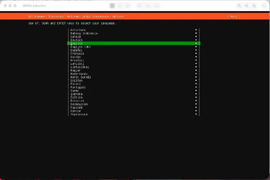 Ubuntu installer screenshot